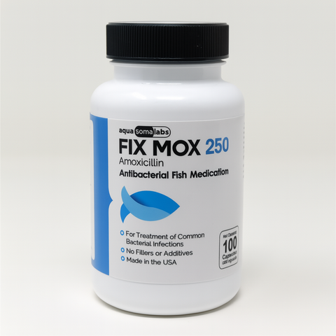 Fish mox 250mg 100 