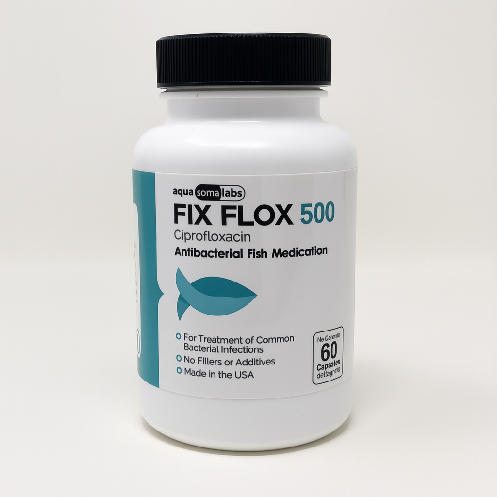 Fish Ciprofloxacin 500mg 60 Capsules