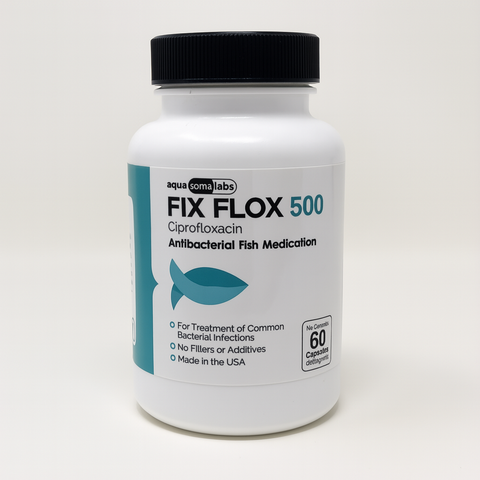 Fish Ciprofloxacin 500mg 60 Capsules