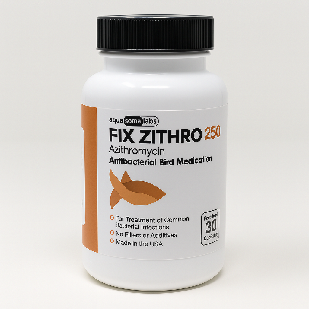 Fish Azithromycin 250mg 30 Tablets