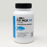 Fish Mox 500mg – 100 Capsules