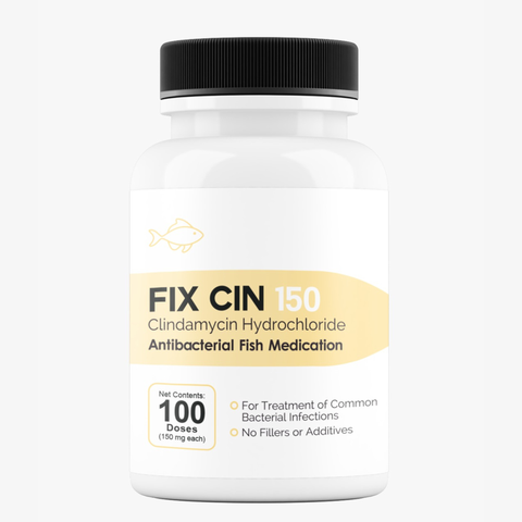 Fish Cin clindamycin 150mg 100 capsules antibiotic for aquarium fish