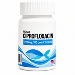 Aquarium Ciprofloxacin 250mg bottle containing 100 fish antibiotic tablets