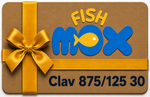 Clav-875-125-30-t