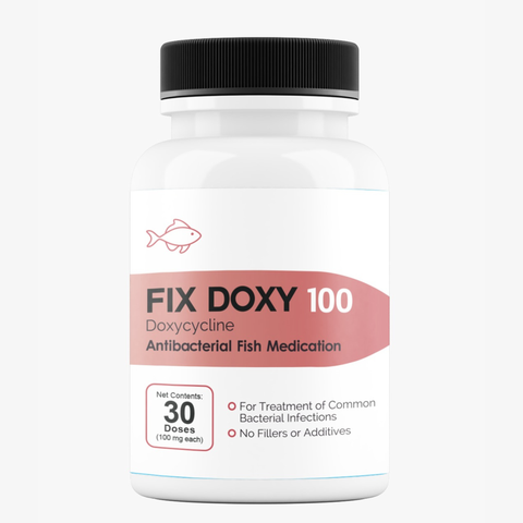 Fish Doxy doxycycline 100mg 30 capsules broad-spectrum fish antibiotic