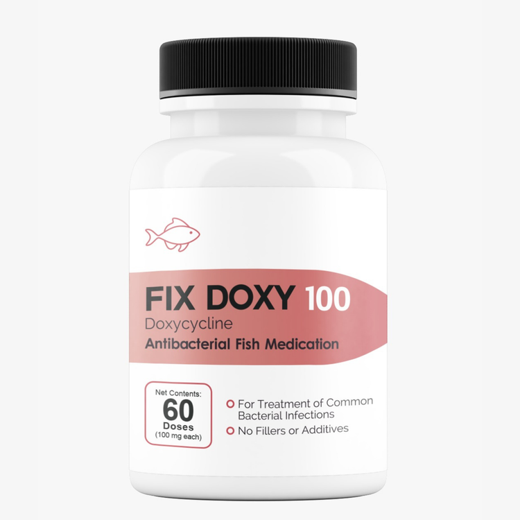 Fish Doxy doxycycline 100mg 60 capsules for aquarium bacterial infections
