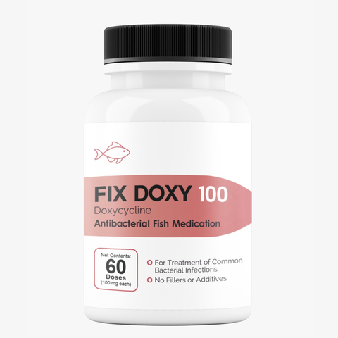 Fish Doxy doxycycline 100mg 30 capsules broad-spectrum fish antibiotic