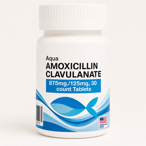 Fish Amoxicillin Clavulanate 875mg/125mg bottle containing 30 aquarium antibiotic tablets