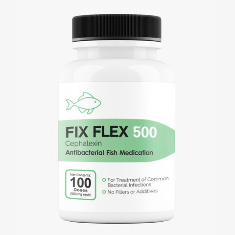 Fish Flex cephalexin 500mg 100 capsules for fin rot ulcers and wounds