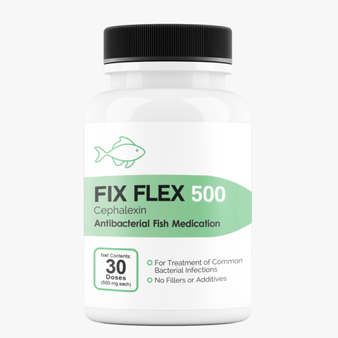 Fish Flex cephalexin 500mg 100 capsules for fin rot ulcers and wounds