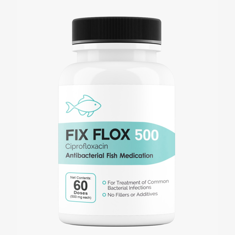 Fish Flox ciprofloxacin 500mg 30 capsules powerful aquarium fish antibiotic