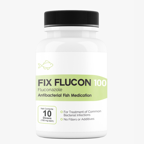 Fish Flucon fluconazole 100mg 10 capsules antifungal for aquarium fish