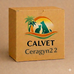 Ceragyn2 2
