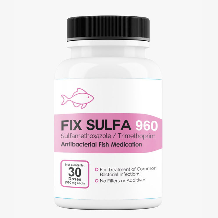 Fish Sulfa SMZ TMP 960mg 30 tablets dual-action aquarium fish antibiotic