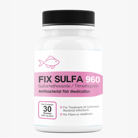 Fish Sulfa SMZ TMP 960mg 30 tablets dual-action aquarium fish antibiotic