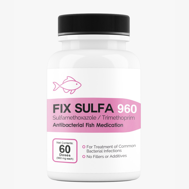 Fish Sulfa SMZ TMP 960mg 60 tablets for bacterial fish infections