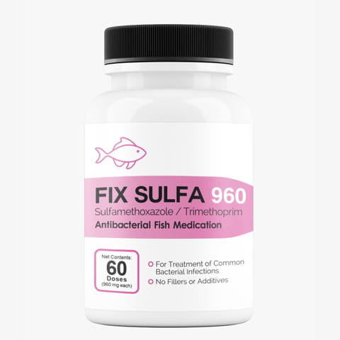 Fish Sulfa SMZ TMP 960mg 30 tablets dual-action aquarium fish antibiotic