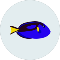 Fish Zithro