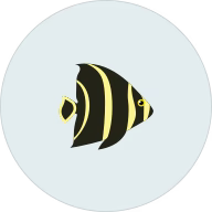 Fish Zole