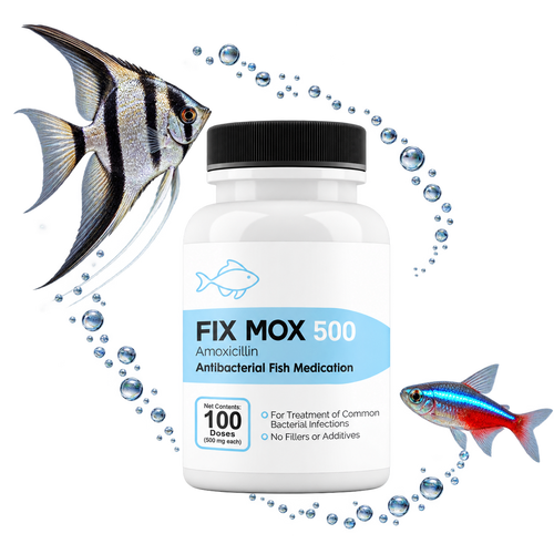 MOX