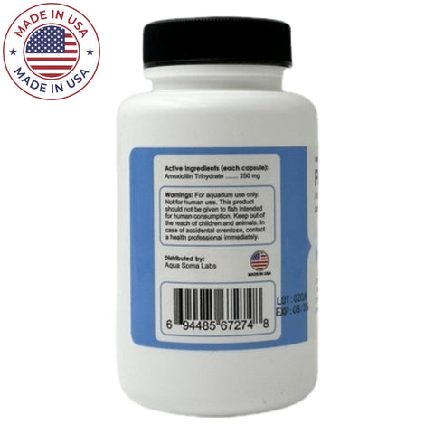 Fish mox 250mg 100 